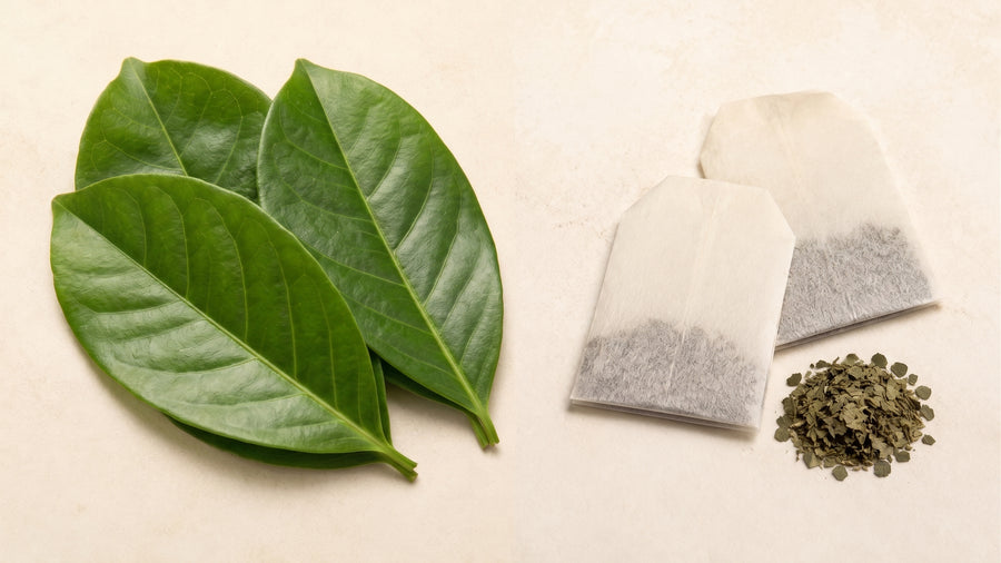 Whole Soursop Leaves vs. Tea Bags